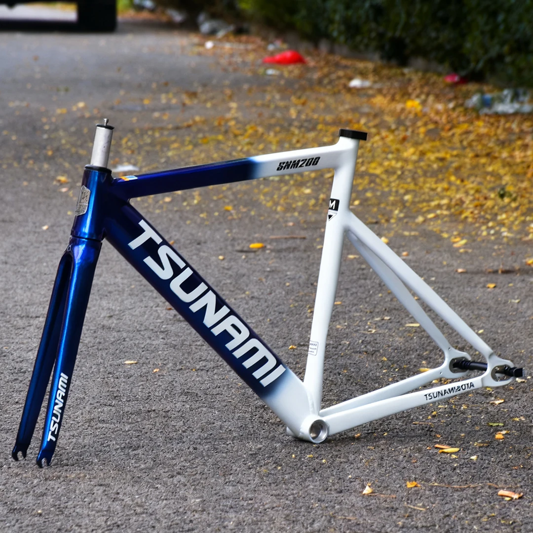 SNM200 Aluminum Alloy Fixed Ge - مراجعة Cycling Commute Gear وسعره