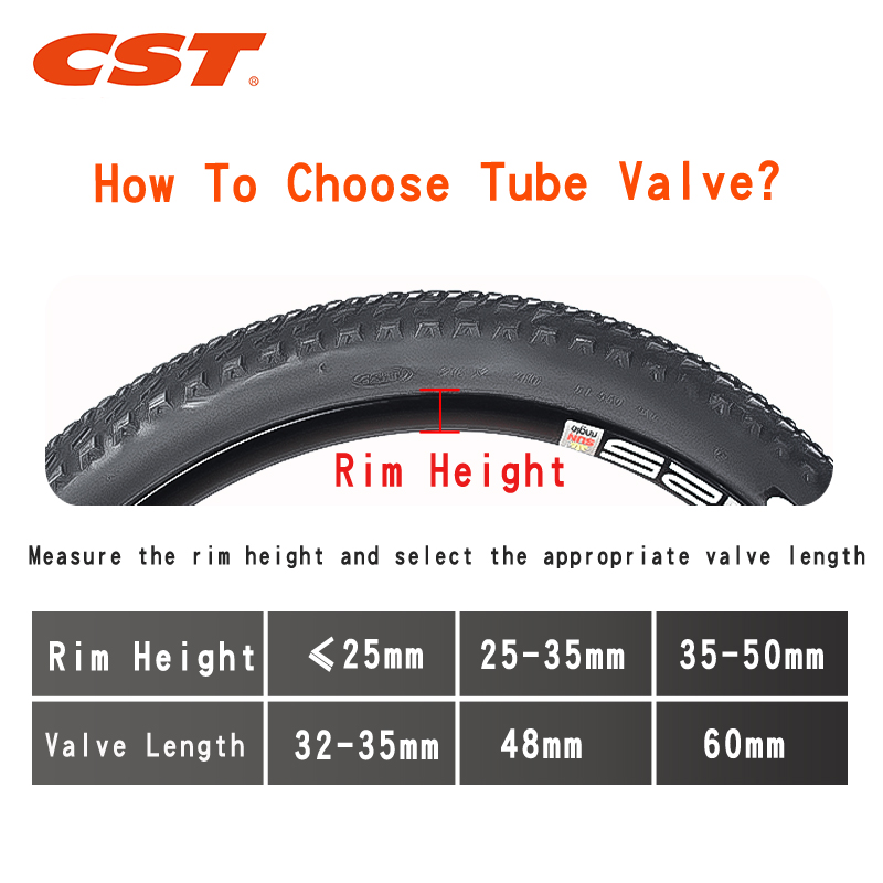 2PCS CST Bike Inner Tubes 20in - مراجعة Inner Tube 700C وسعره