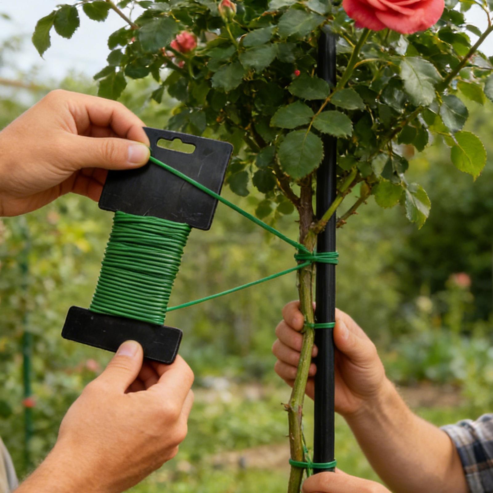 10m Gardening Ties Plant Suppo - مراجعة Cable Lock Flexible وسعره